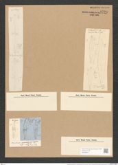 Stauroneis phoenicentrum var. lanceolata (Kuetz.) Brun. (de-Toni-Nr.: Genus 6, Species 867) Zeichnungen Sammlung Grunow Nr. 1728 (NHMW-BOT-W0368607)